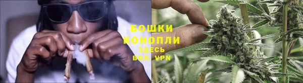 мяу мяу мука Арсеньев