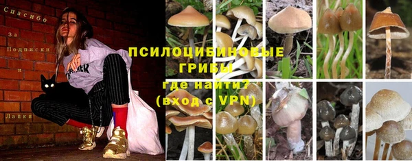 крисы Армянск