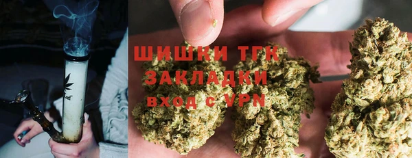 мяу мяу мука Арсеньев