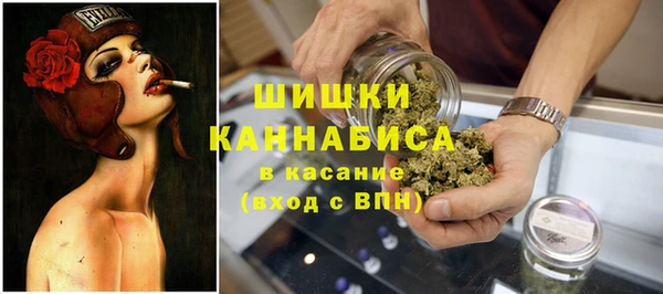 крисы Армянск
