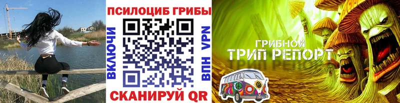 Галлюциногенные грибы Magic Shrooms  где найти наркотики  кракен ONION  darknet как зайти  Зима 
